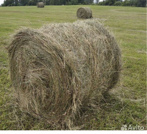 Сено в рулонах