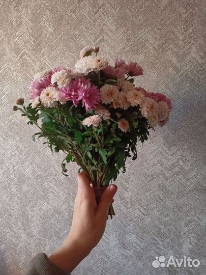 Букет хризантем