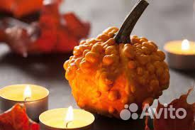 Декоративные тыквы для осенней поделки