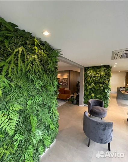 Фитостены / искусственные растения