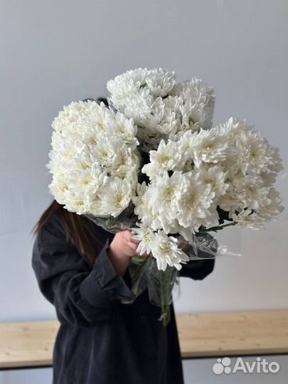 Пачка кустовой хризантемы