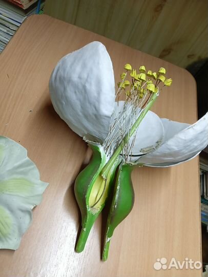 Учебные пособия по биологии, зоологии (гербарий )