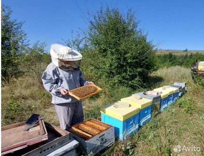 Мед. Натуральный