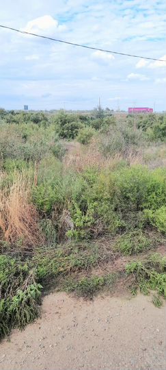 Участок 94,3 сот. (СНТ, ДНП)