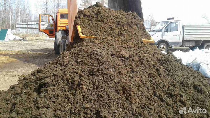 Навоз Коровий