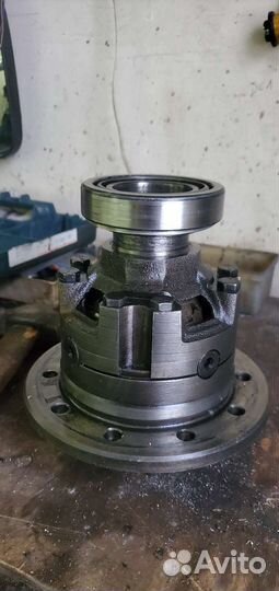 Дифференциал газель