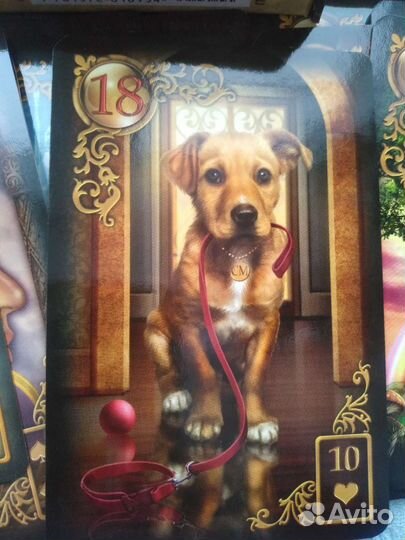 Карты taro оракул ленорман