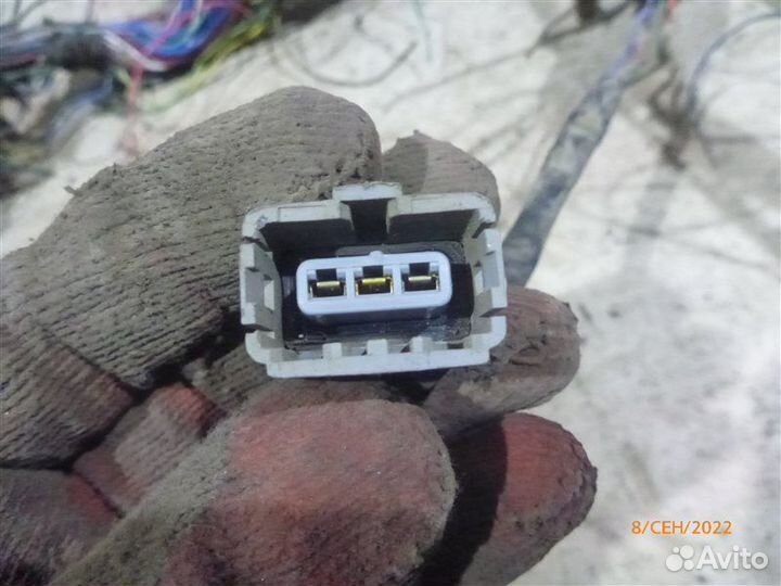 Проводка моторного отсека Mitsubishi Outlander