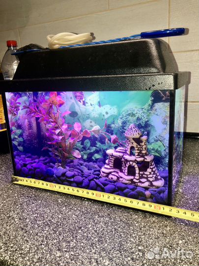 10 литров аквариум полный комплект