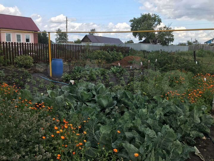 Дом 56 м² на участке 12 сот.