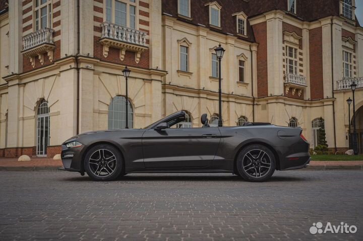 Прокат Ford Mustang. Аренда форд мустанг