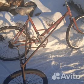 Велосипед коляской и санями Scandanavian Side Bike, описание, характеристика, фото, цена