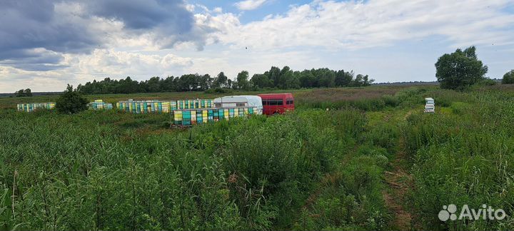 Мёд высокого качества