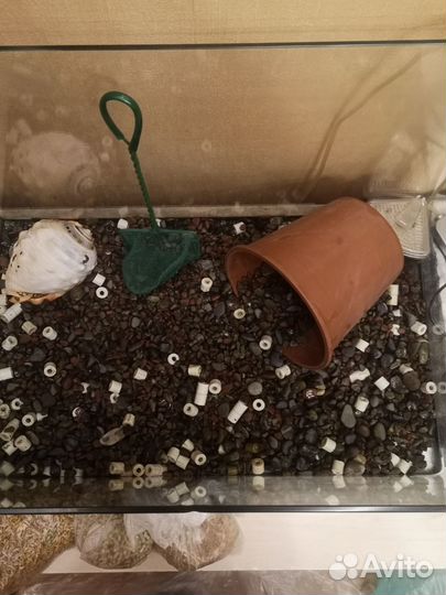 Аквариум Dophin