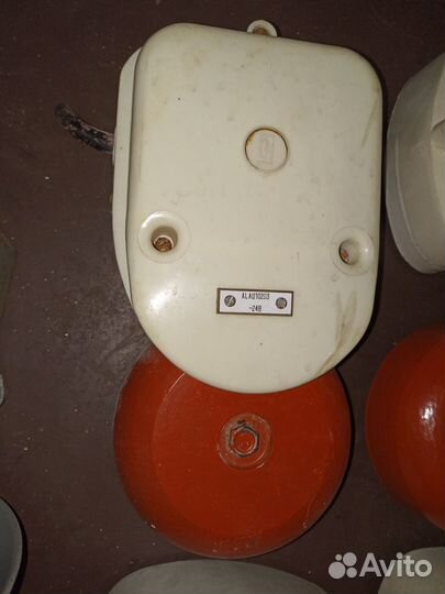 Звонок морской. Польша