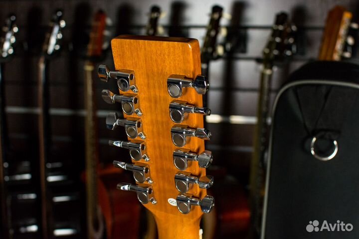 12-струнная акустическая гитара Homage + Аксессуар