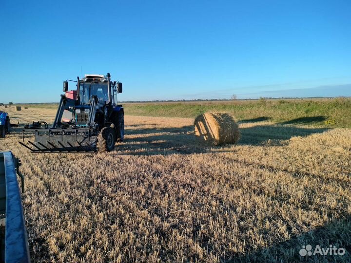 Солома гороховая и пшеничная в тюках и рулонах