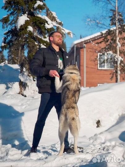 Организую Проживание в Шерегеше