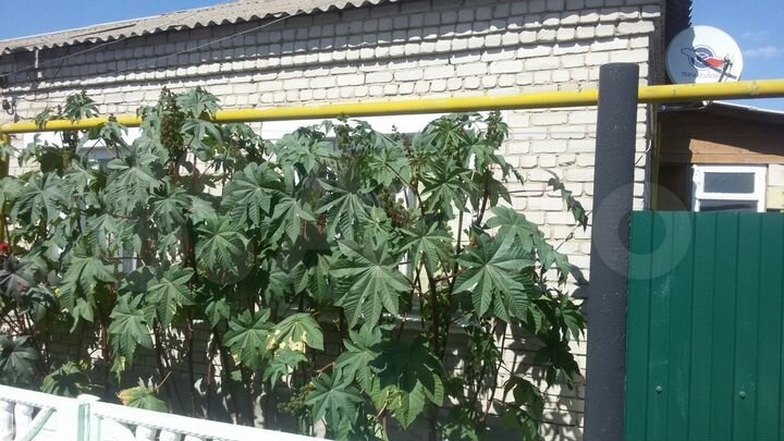 Дом 72 м² на участке 6 сот.