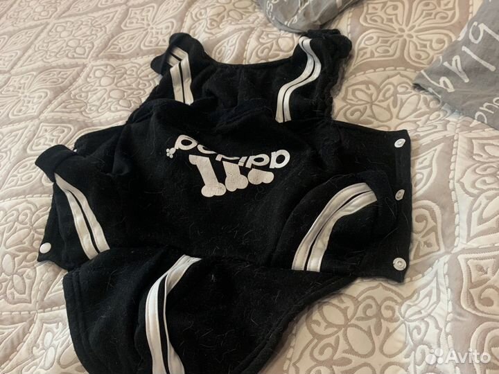 Костюм для собак