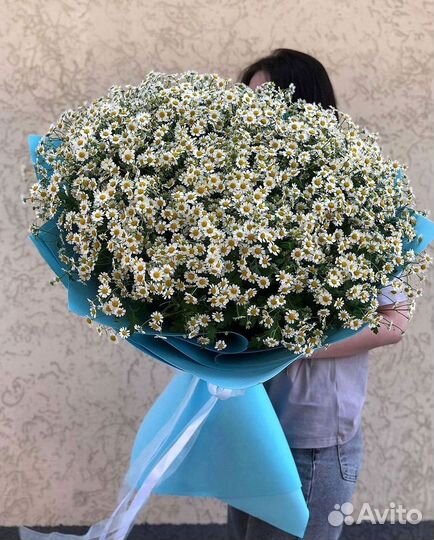 Букеты. Доставка ромашек