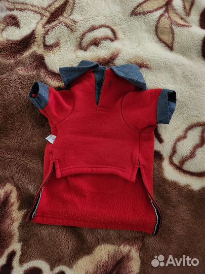 Вещи для маленьких собак