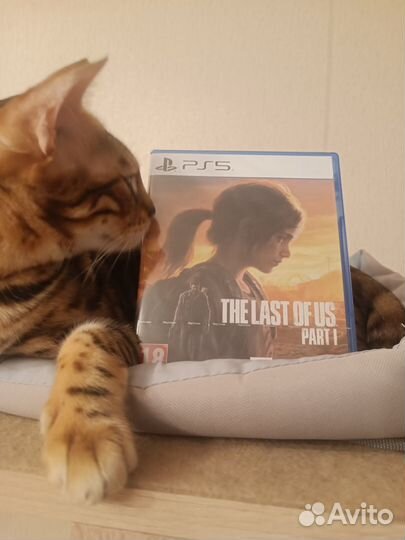 The Last of Us Part 1 ps5