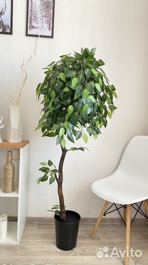 Искусственное дерево, фикус