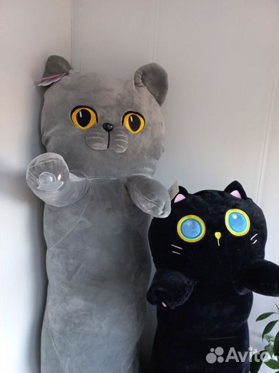 Кот батон британец