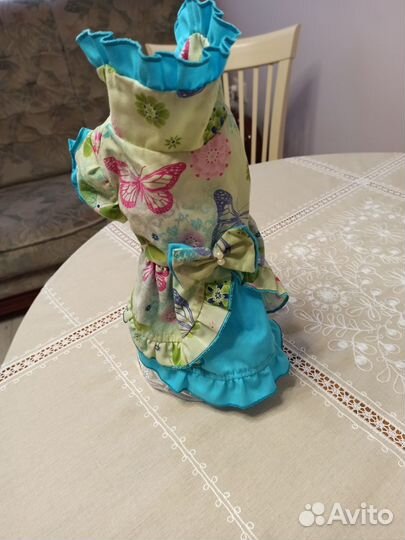 Платье для маленькой собачки