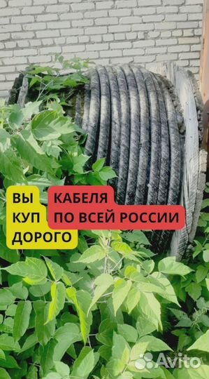 Кабель Ввгнг