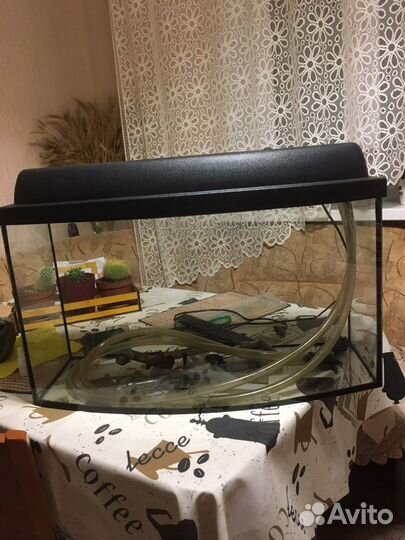 Аквариум с внешним фильтром