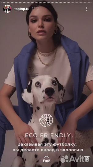 Собака/Далматинец для фотосессии/рекламы