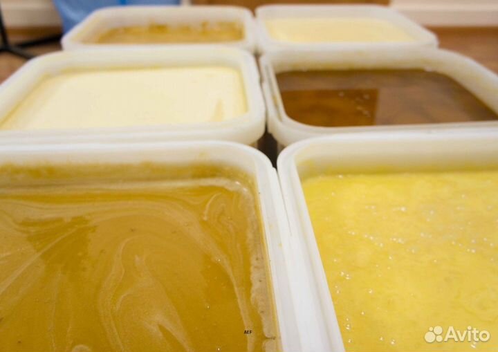 2024 Мёд натуральный из Алтая опт