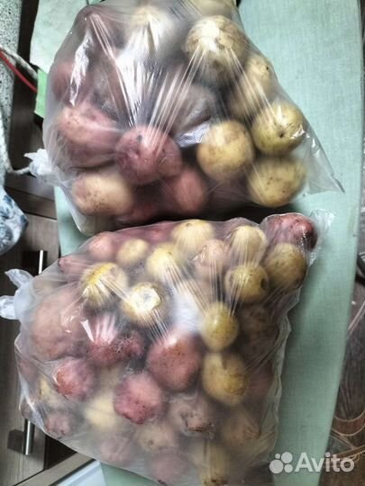 Молодой картофель