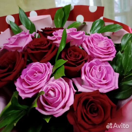 Роза Голландия микс