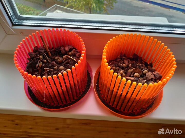 Горшок корона для орхидеи