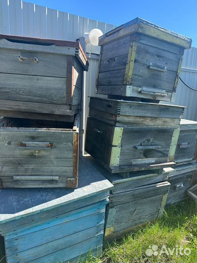 Ульи для пчел