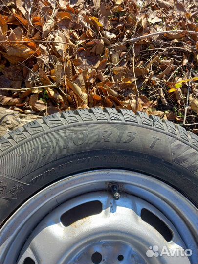 Matador MP 55 17.5/7 R13