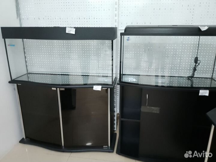 Аквариумы волна, телевизор