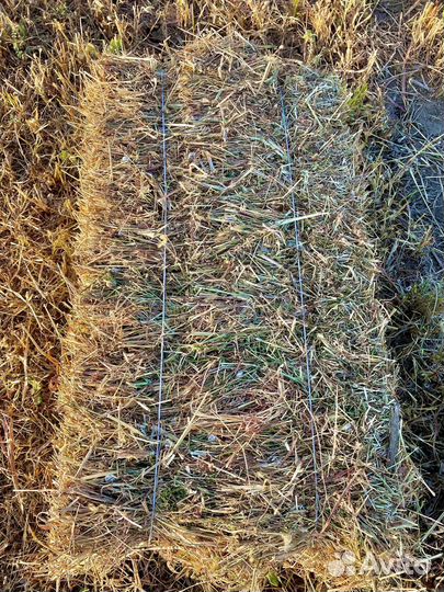 Сено в тюках