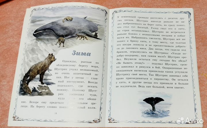 А. Шиенок Маленькие островитяне