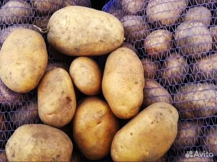 Овощи с доставкой