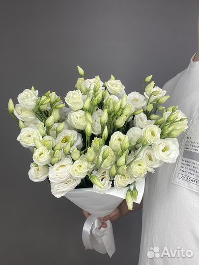 Эустома импортные