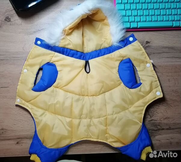 Комбинезон для мелких пород собак. Болонь утеплён