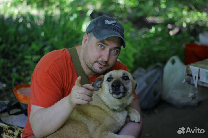 Милая и красивая Милана ищет дом