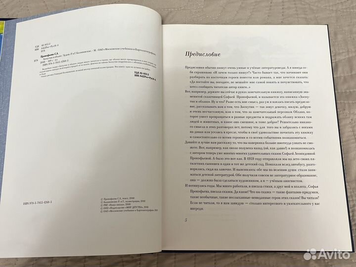 Софья Прокофьева Лоскутик и облако