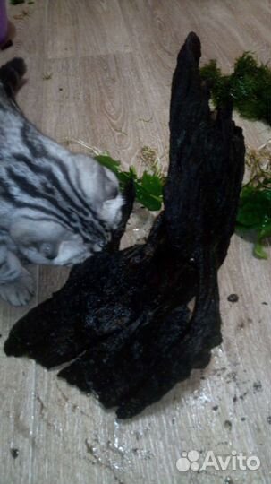 Коряга для аквариума. Тонет