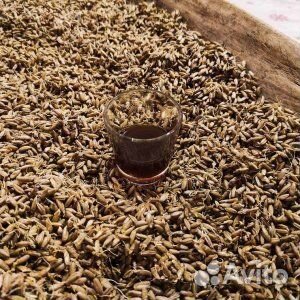 7.окт.23 Воткинские термы и этнотур.прогр./хп3020