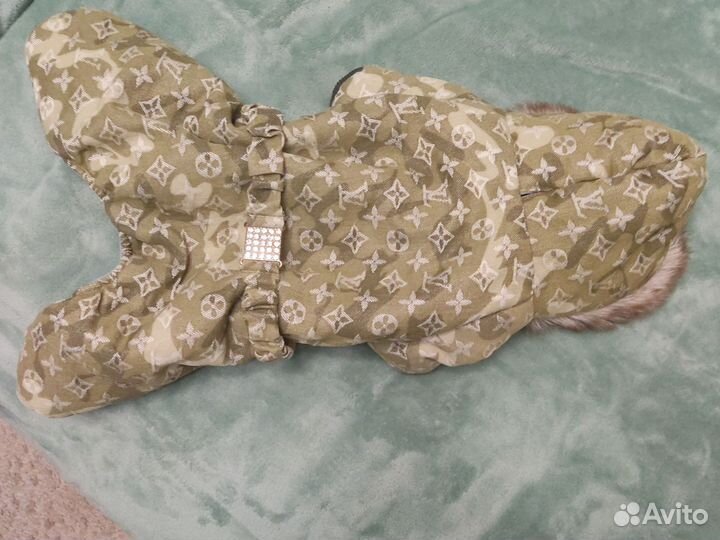 Костюм для собаки